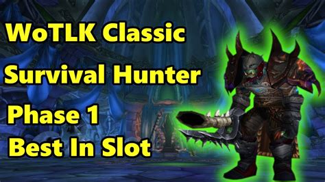This guide will list best in slot gear for Survival Hunter DPS in Wrath of the Lich King Classic Phase 3. . Survival bis wotlk